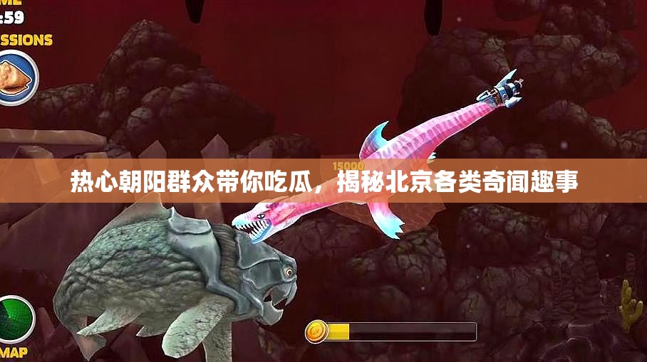 热心朝阳群众带你吃瓜，揭秘北京各类奇闻趣事