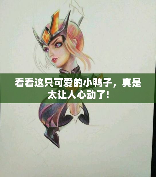 看看这只可爱的小鸭子，真是太让人心动了!