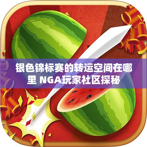 银色锦标赛的转运空间在哪里 NGA玩家社区探秘