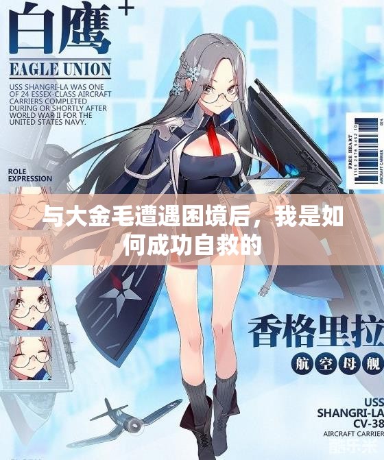与大金毛遭遇困境后，我是如何成功自救的