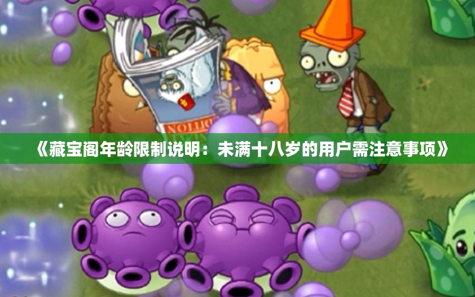 《藏宝阁年龄限制说明：未满十八岁的用户需注意事项》