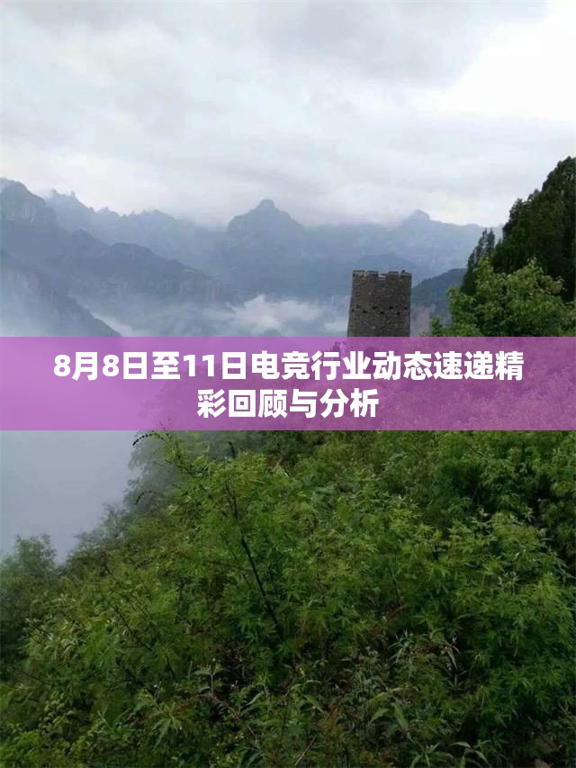 8月8日至11日电竞行业动态速递精彩回顾与分析
