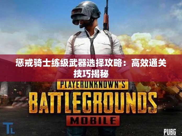 惩戒骑士练级武器选择攻略：高效通关技巧揭秘