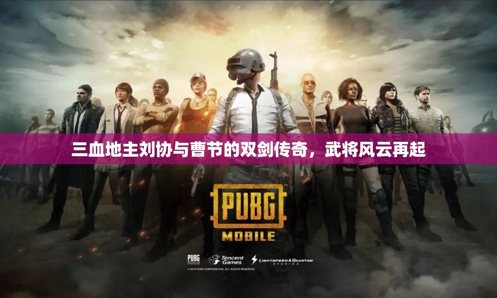 三血地主刘协与曹节的双剑传奇，武将风云再起