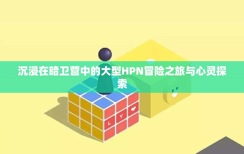 沉浸在暗卫营中的大型HPN冒险之旅与心灵探索