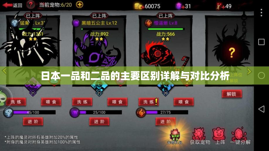 日本一品和二品的主要区别详解与对比分析