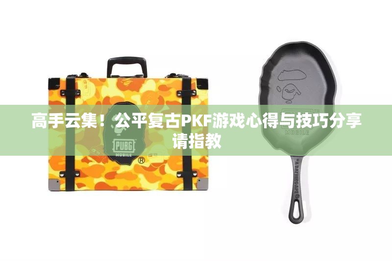 高手云集！公平复古PKF游戏心得与技巧分享请指教