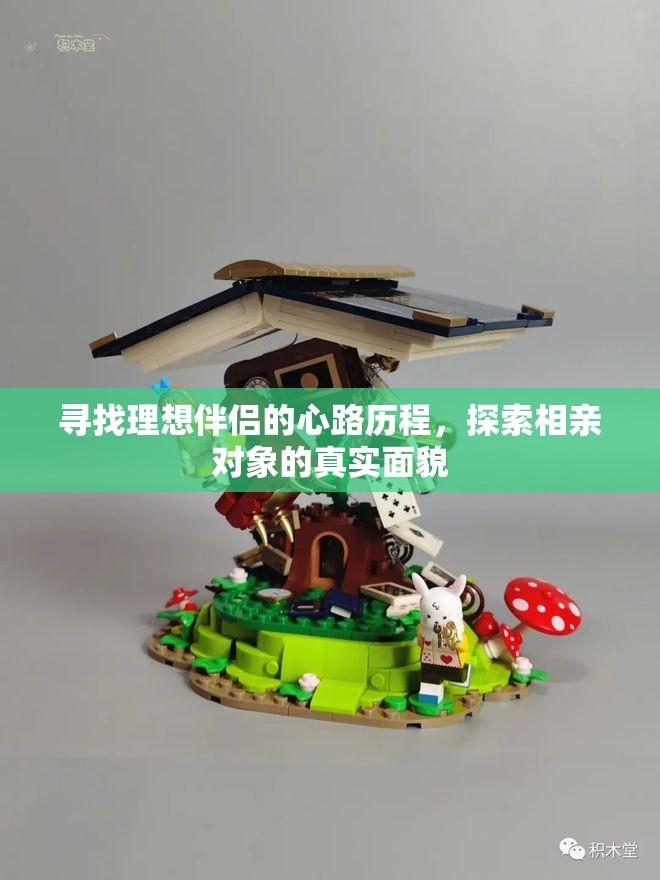 寻找理想伴侣的心路历程，探索相亲对象的真实面貌