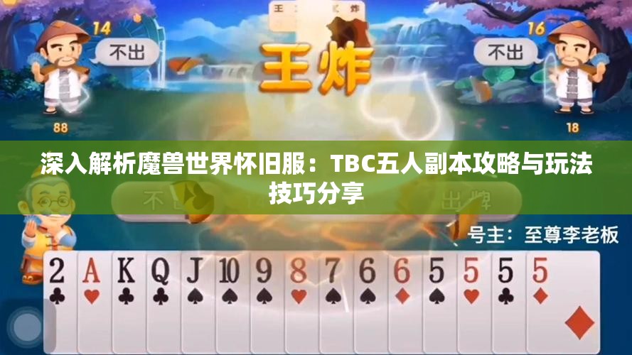 深入解析魔兽世界怀旧服：TBC五人副本攻略与玩法技巧分享