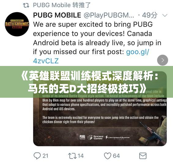 《英雄联盟训练模式深度解析：马乐的无D大招终极技巧》