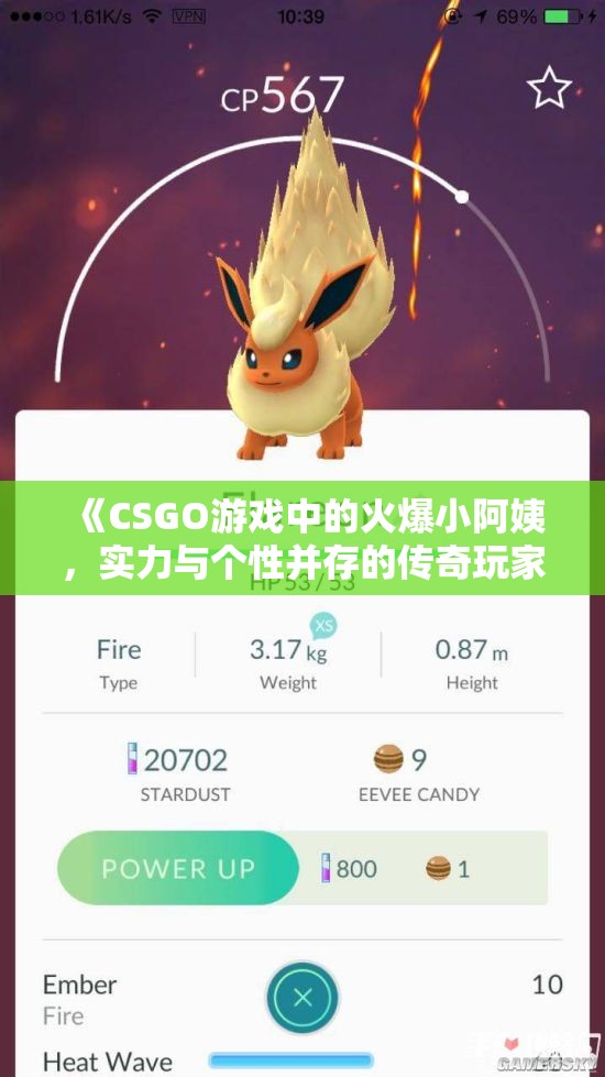 《CSGO游戏中的火爆小阿姨，实力与个性并存的传奇玩家》