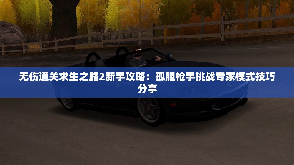 无伤通关求生之路2新手攻略：孤胆枪手挑战专家模式技巧分享