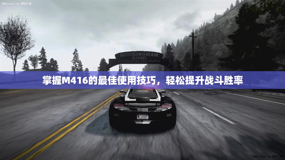 掌握M416的最佳使用技巧，轻松提升战斗胜率