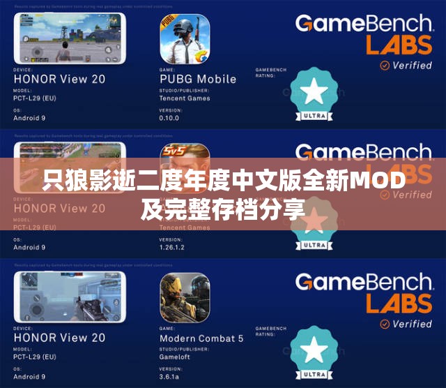 只狼影逝二度年度中文版全新MOD及完整存档分享