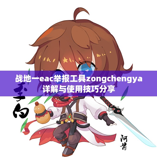 战地一eac举报工具zongchengya详解与使用技巧分享
