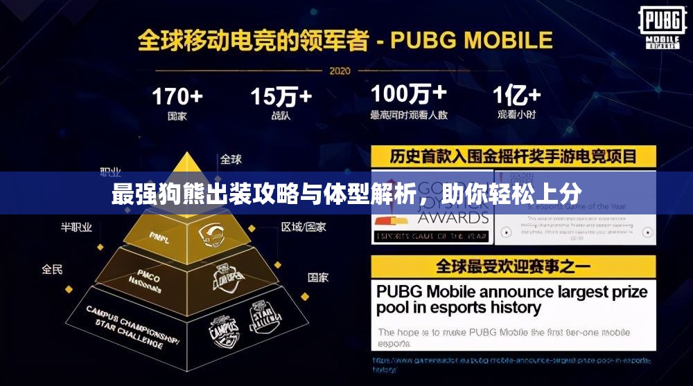 最强狗熊出装攻略与体型解析，助你轻松上分