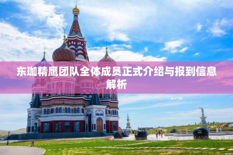 东珈精鹰团队全体成员正式介绍与报到信息解析