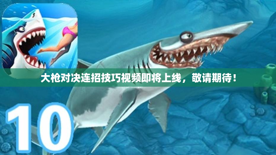 大枪对决连招技巧视频即将上线，敬请期待！