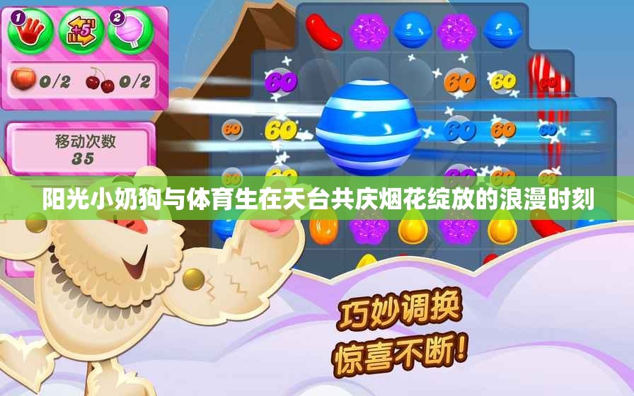 阳光小奶狗与体育生在天台共庆烟花绽放的浪漫时刻