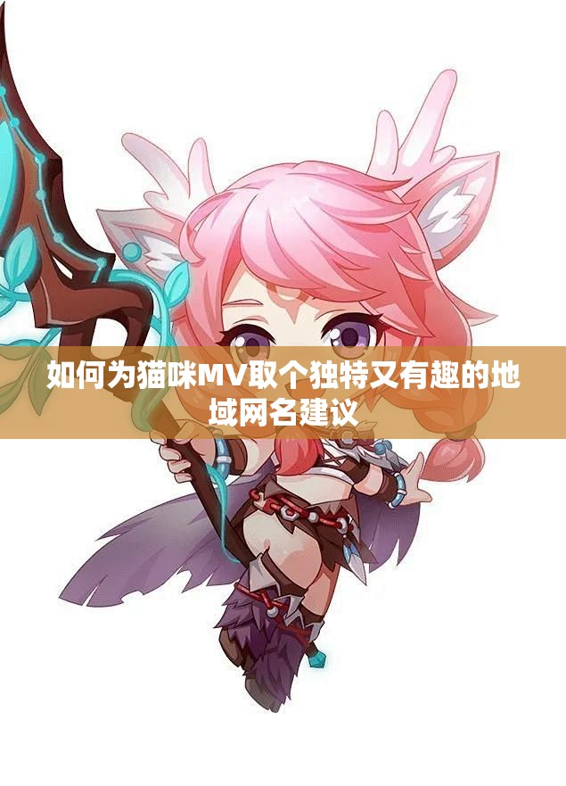 如何为猫咪MV取个独特又有趣的地域网名建议