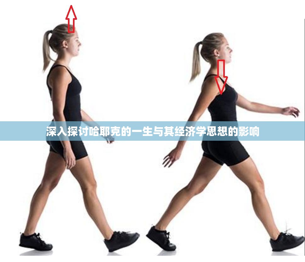 深入探讨哈耶克的一生与其经济学思想的影响