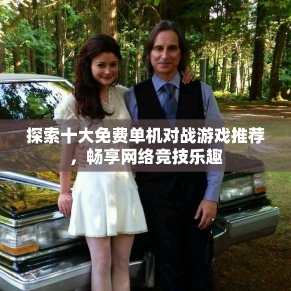 探索十大免费单机对战游戏推荐，畅享网络竞技乐趣