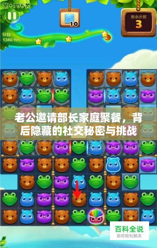 老公邀请部长家庭聚餐，背后隐藏的社交秘密与挑战