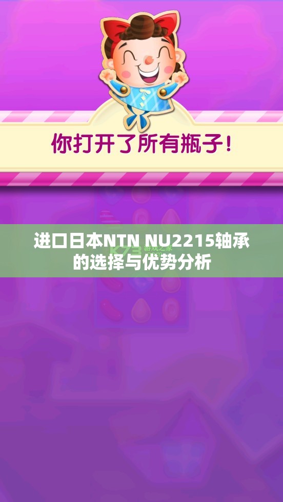 进口日本NTN NU2215轴承的选择与优势分析