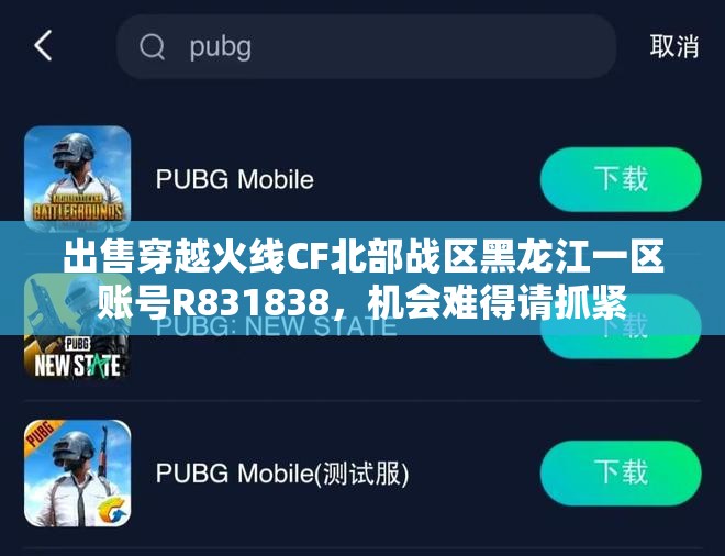 出售穿越火线CF北部战区黑龙江一区账号R831838，机会难得请抓紧