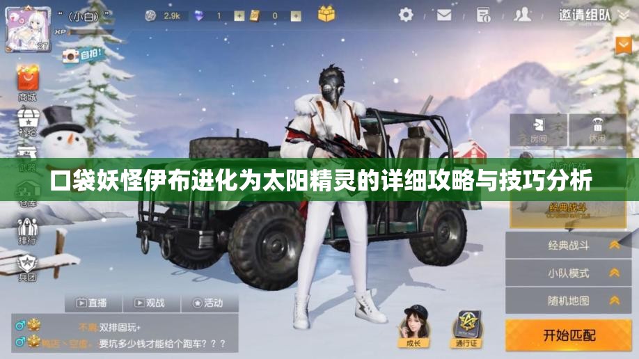 口袋妖怪伊布进化为太阳精灵的详细攻略与技巧分析