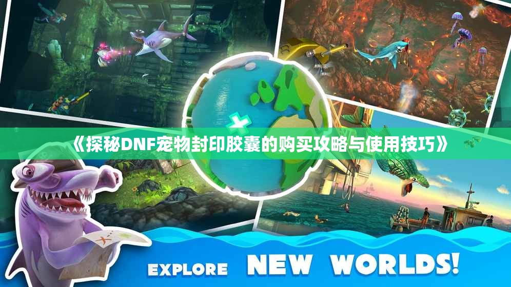 《探秘DNF宠物封印胶囊的购买攻略与使用技巧》