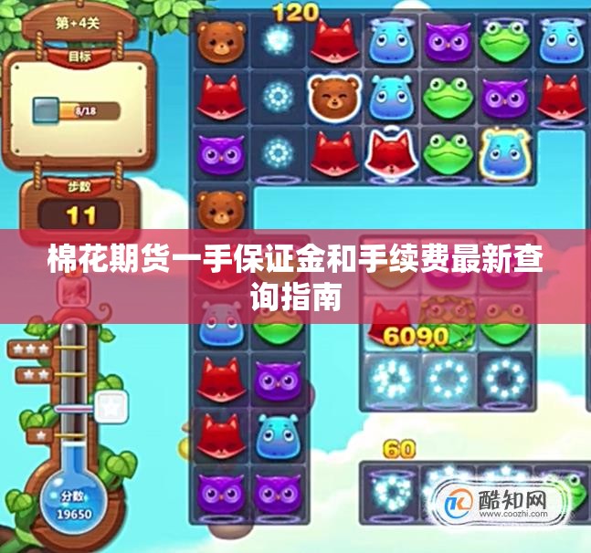 棉花期货一手保证金和手续费最新查询指南