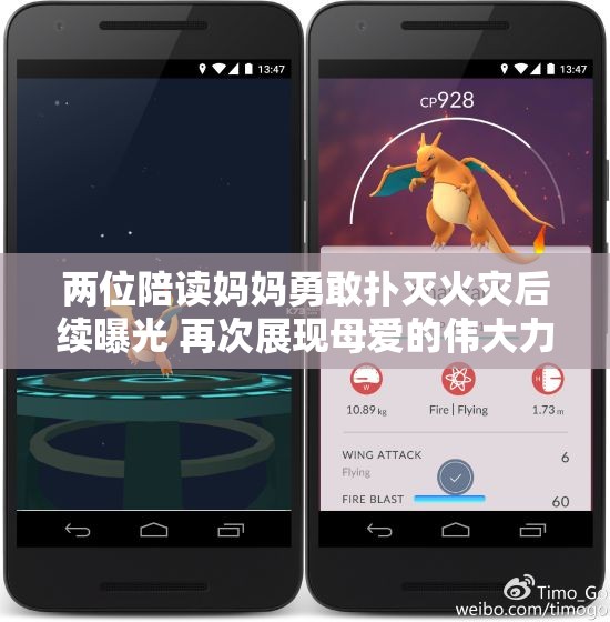 两位陪读妈妈勇敢扑灭火灾后续曝光 再次展现母爱的伟大力量
