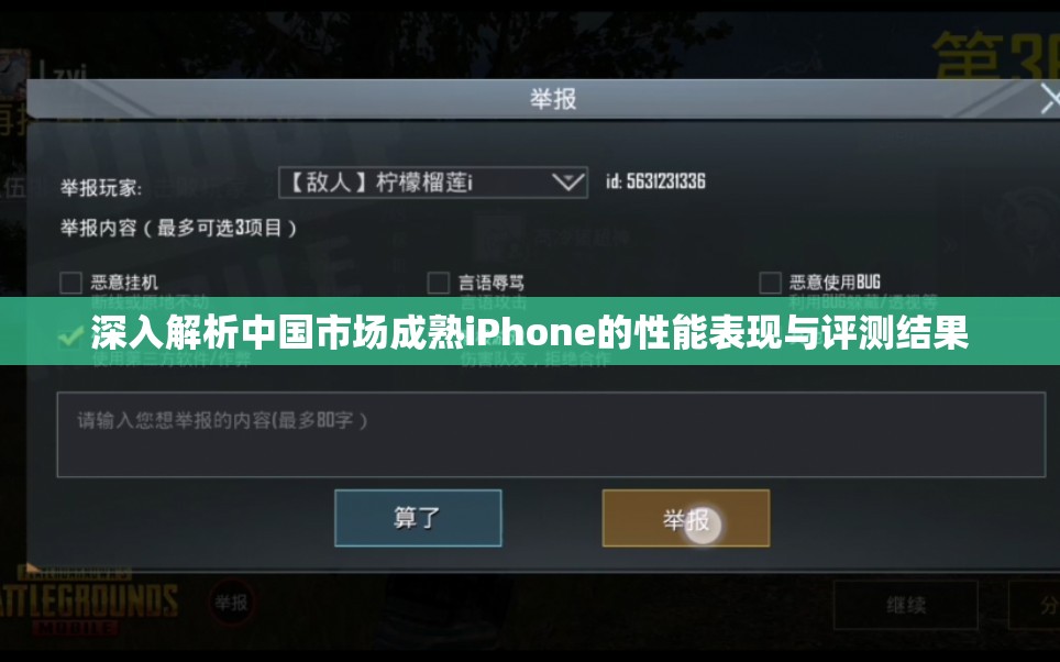 深入解析中国市场成熟iPhone的性能表现与评测结果