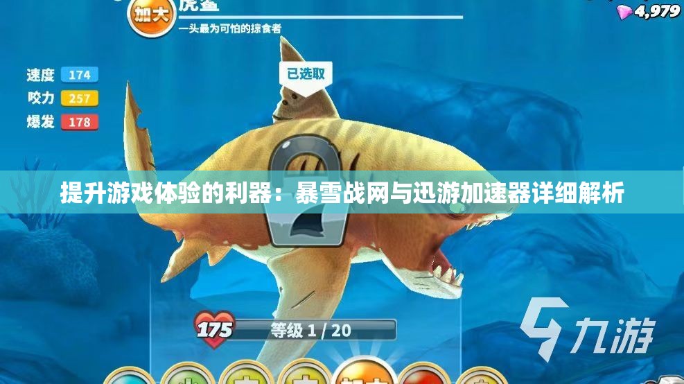 提升游戏体验的利器：暴雪战网与迅游加速器详细解析