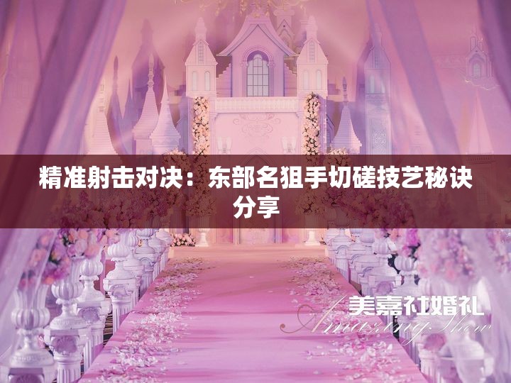 精准射击对决：东部名狙手切磋技艺秘诀分享
