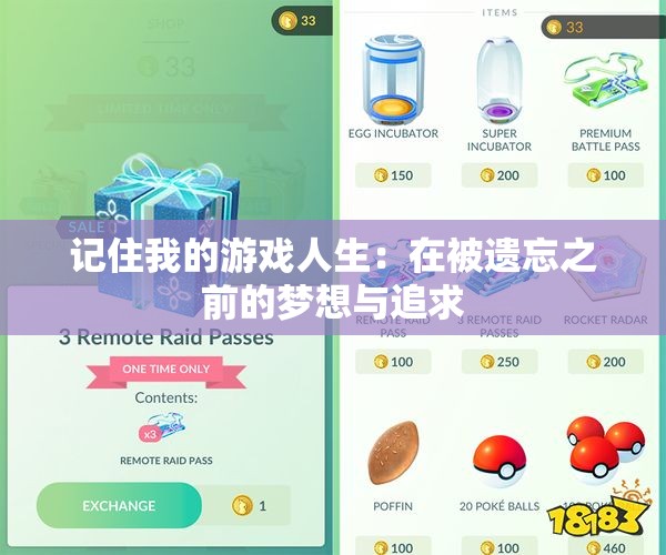 记住我的游戏人生：在被遗忘之前的梦想与追求