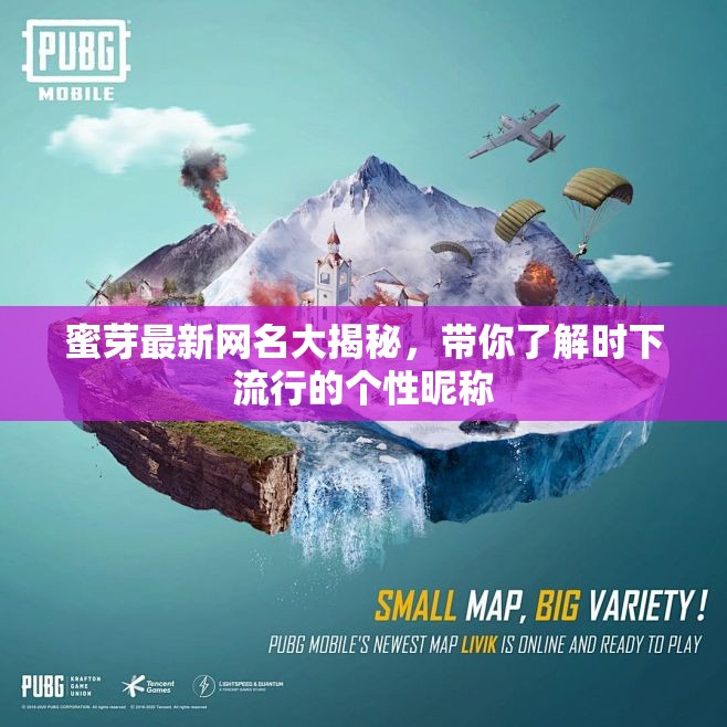 蜜芽最新网名大揭秘，带你了解时下流行的个性昵称