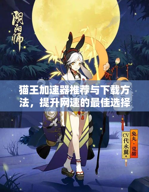 猫王加速器推荐与下载方法，提升网速的最佳选择