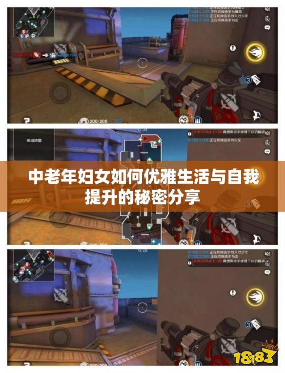 中老年妇女如何优雅生活与自我提升的秘密分享