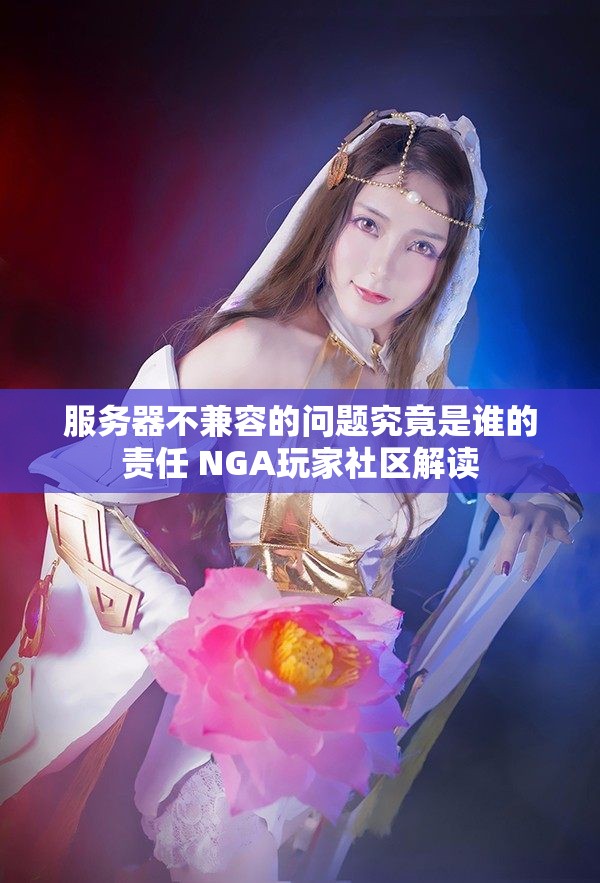服务器不兼容的问题究竟是谁的责任 NGA玩家社区解读