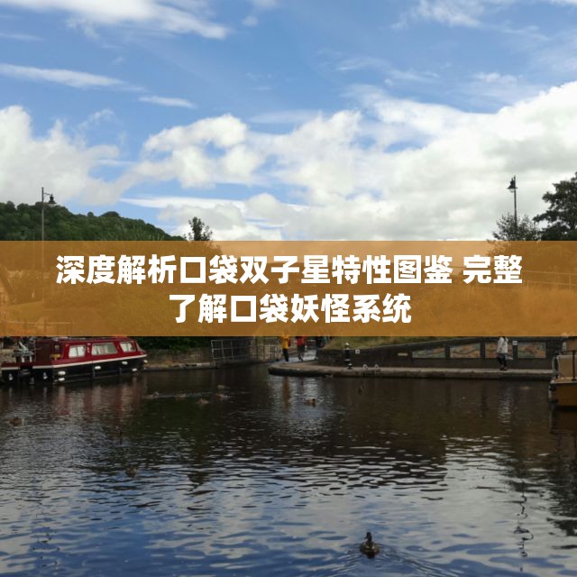 深度解析口袋双子星特性图鉴 完整了解口袋妖怪系统