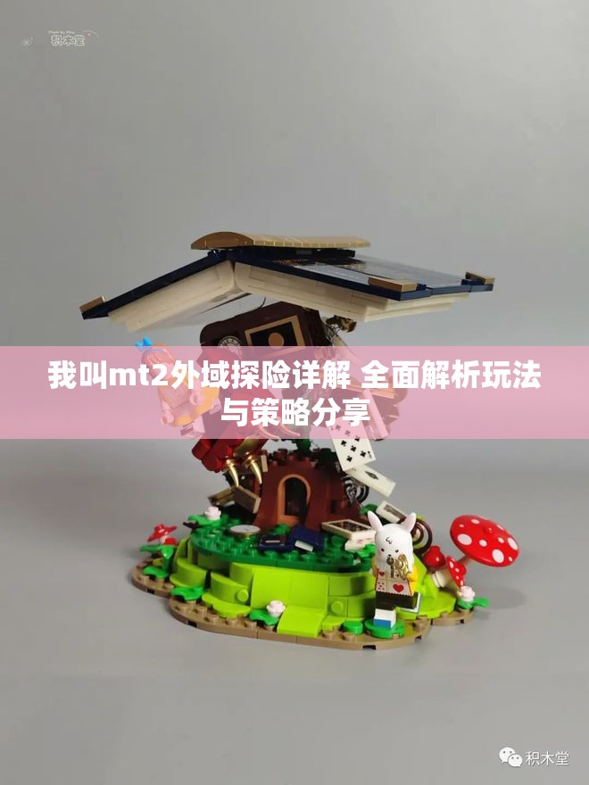 我叫mt2外域探险详解 全面解析玩法与策略分享