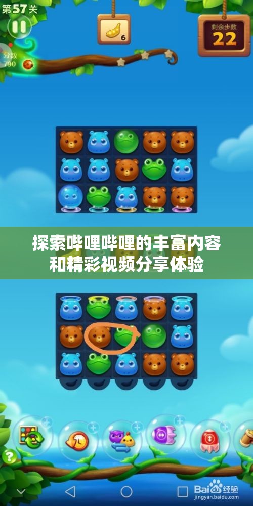 探索哔哩哔哩的丰富内容和精彩视频分享体验