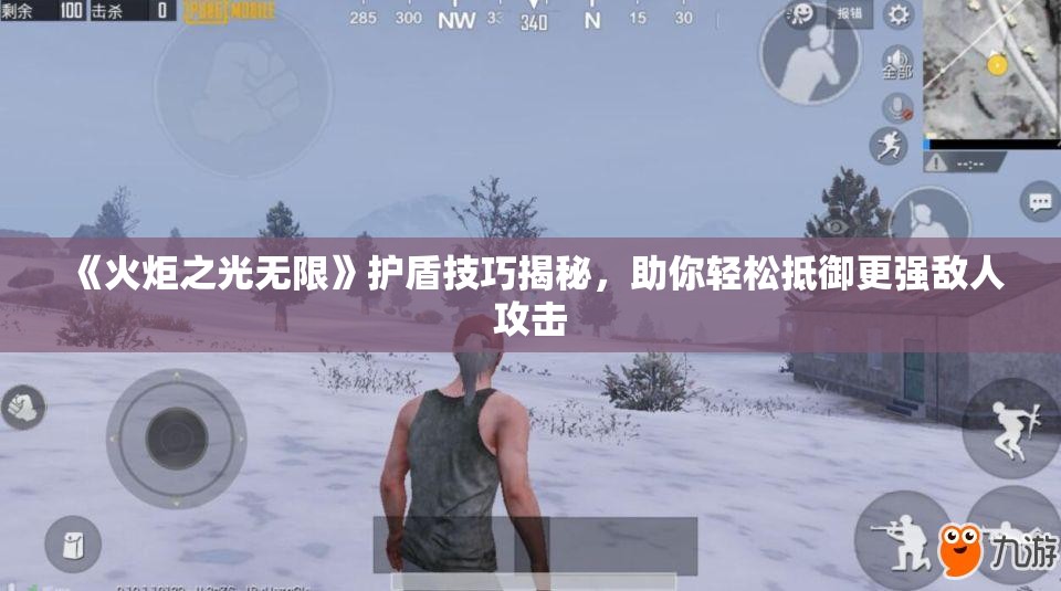 《火炬之光无限》护盾技巧揭秘，助你轻松抵御更强敌人攻击