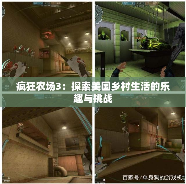 疯狂农场3：探索美国乡村生活的乐趣与挑战