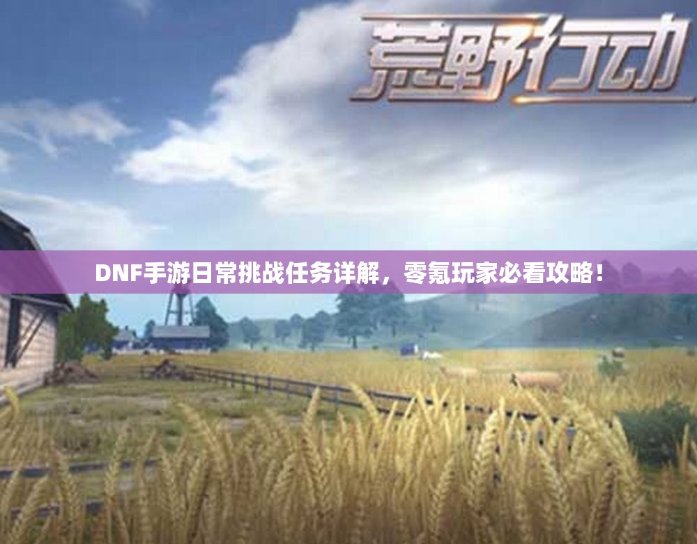 DNF手游日常挑战任务详解，零氪玩家必看攻略！