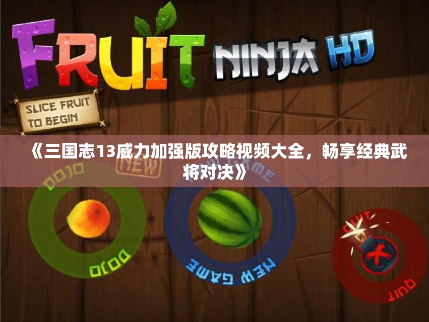 《三国志13威力加强版攻略视频大全，畅享经典武将对决》