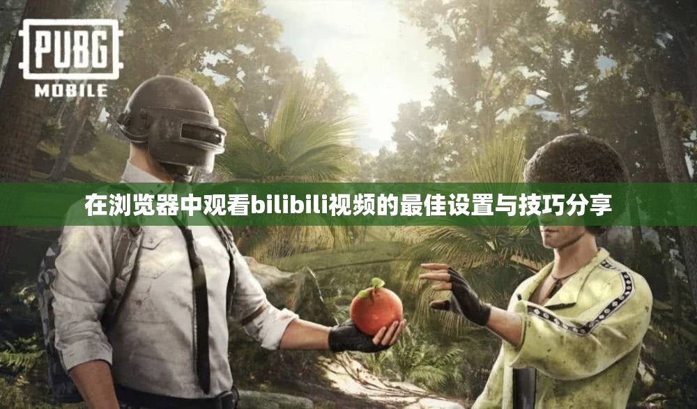 在浏览器中观看bilibili视频的最佳设置与技巧分享