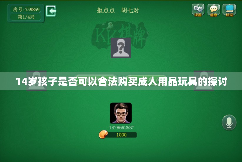 14岁孩子是否可以合法购买成人用品玩具的探讨